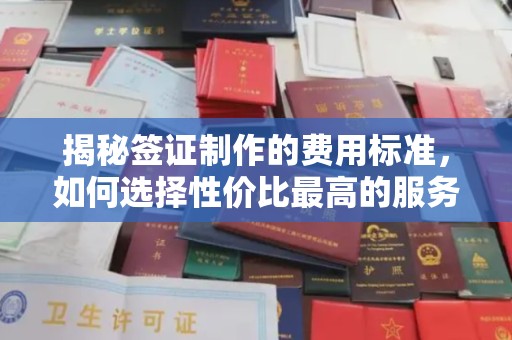 燕郊揭秘签证制作的费用标准，如何选择性价比最高的服务？