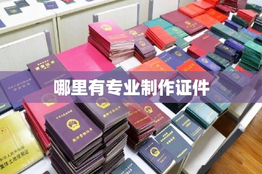 燕郊哪里有专业制作证件